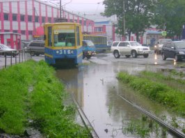 Зеленые трамвайные пути в Европе