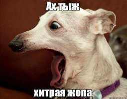 Еврейский лайфхак