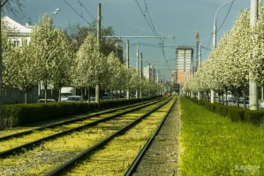 На Сходненской улице в районе дома 11.
Вот ещё Краснодар и Ростов-на-Дону