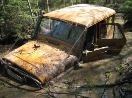 цветом на мой похож 8) Кстати в ПТС цвет записан как "желтый бизон" 8)