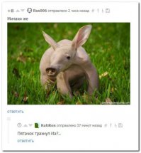 Смешные комментарии из соцсетей