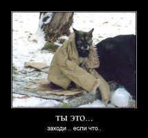 Хорошо зимой в деревне!