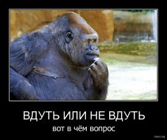 Девушки в форме