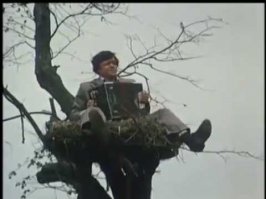 Девке только гармошки не хватает, как у Николая Петровича в фильме "Белые росы" :)