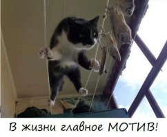 Эти люди точно с другой планеты 