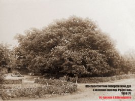 А где Запорожский дуб? Вполне достоен в этой компании находится.