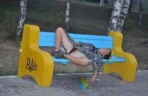 10 удивительных фактов о том, как спят животные