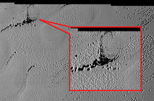 Фуфлологи и паранойнормологи - объясните: