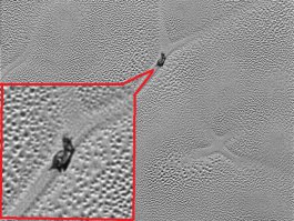 Фуфлологи и паранойнормологи - объясните: