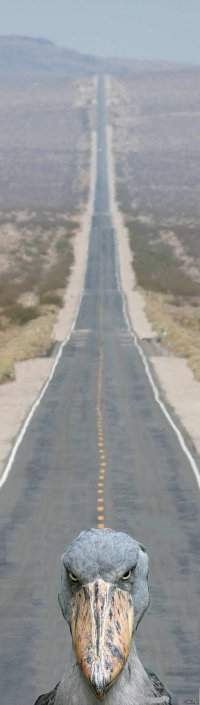 Аппарат New Horizons передал на Землю самые детальные снимки "сердца" Плутона 