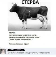 Смешные комментарии