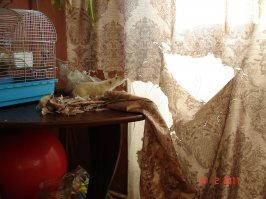 Вот такие вредители попадаются)