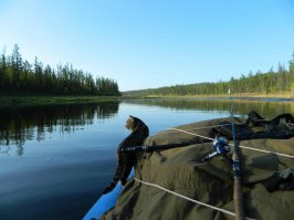 у меня кот покруче путешествует, сплавляется со мной по рекам, неделями в дикой природе