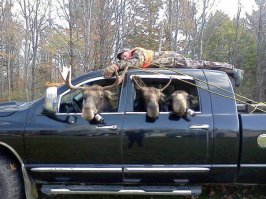 Очередная подборка автоприколов