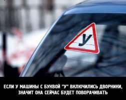 Очередная подборка автоприколов