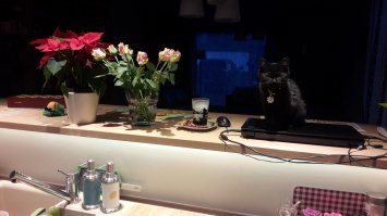 В потьмах, хрен найдешь.  Пришлось колокольчик вешать :)