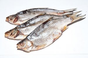 Что происходит с телом, что происходит, вот что происходит!