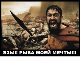 Вот оно какое рыбацкое счастье