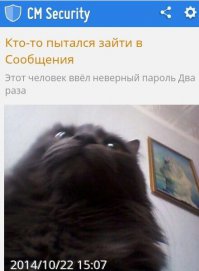 21 преимущество жизни с котом