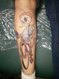 Фотоподборка за 13.01.2016