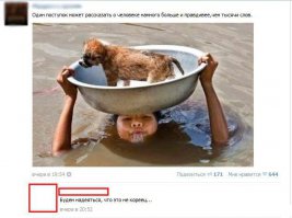 Смешные комментарии и высказывания из социальных сетей