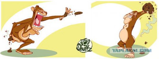 скоро начнут играть в излюбленные игры приматов.