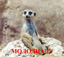 Как из ничего сделать нЕчто, Было-стало