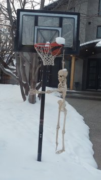 Фотоподборка за 13.01.2016