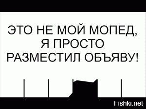 Семейная пара решила показать 4-летнему сыну Европу и проехала 28 000 километров