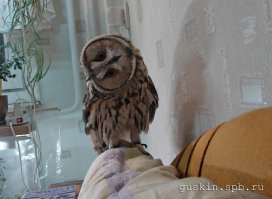 Коротко о прошедших новогодних каникулах 