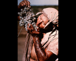 "Земляне пожирают существа, похожие на нас" - подумали инопланетяне - "убьем их всех!"