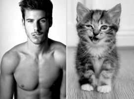 Горячие парни и котики - как раз то, что вам сейчас нужно!