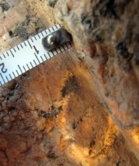 Чтобы не быть голословным.