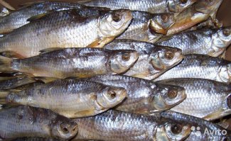 Они пили слишком много соленой воды