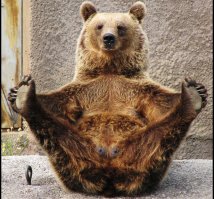 12 медведей, покоривших мир кино (13 фото)