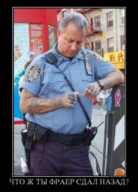 Наша служба и опасна, и трудна: перлы из полицейских протоколов 