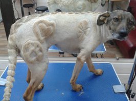 Для Собачек и Кошек - Груминг !
А для Людей как это называется ???