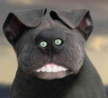 Разнообразная подборка