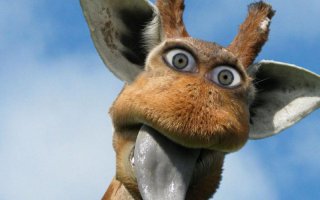 Разнообразная подборка