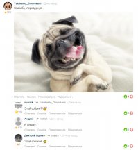 Смешные комментарии