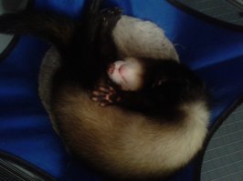 уже тут,спали мы...:)