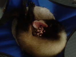 уже тут,спали мы...:)