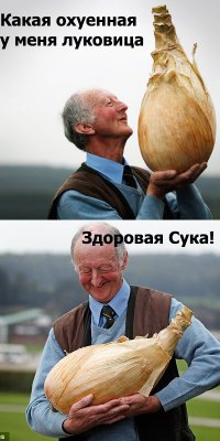 Когда урожай действительно хороший