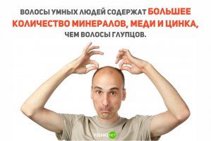 Умные волосы покидают глупую голову.