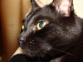 ПОДТВЕРЖДАЮ!!!!!