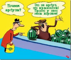 Когда урожай действительно хороший