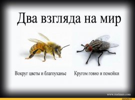Если вы смешаете эти 3 ингредиента, то получите отбеливающую зубную пасту
