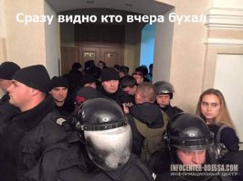 Наша служба и опасна, и трудна: перлы из полицейских протоколов 