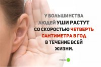 За 4 года - 1 см 
За 60 лет - 15 см ... 

Где автор видел таких слоников Дамбо?