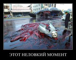 Эти неловкие моменты, в которых не знаешь как себя вести 